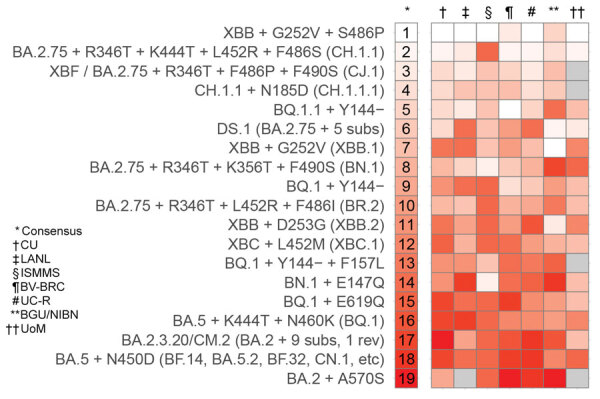 What do we know about the function of SARS-CoV-2 proteins?